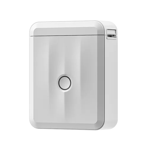 NIIMBOT D110 Bluetooth Label Maker